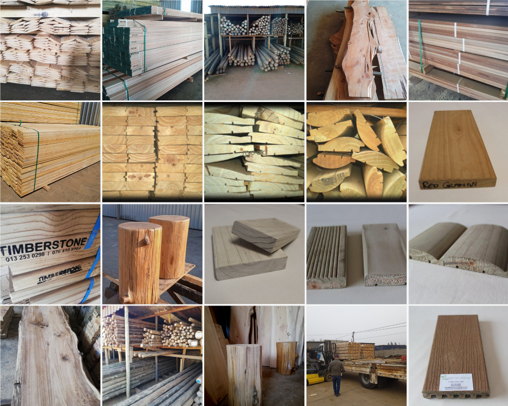 1_20230410_155339_0000_resized